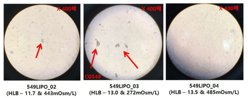CG400549 리포좀 제제 희석 후 입도 관찰