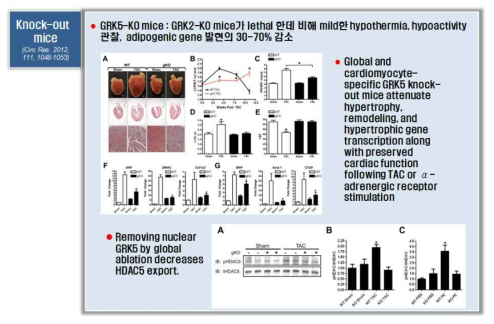 GRK5 validation in knockout mice