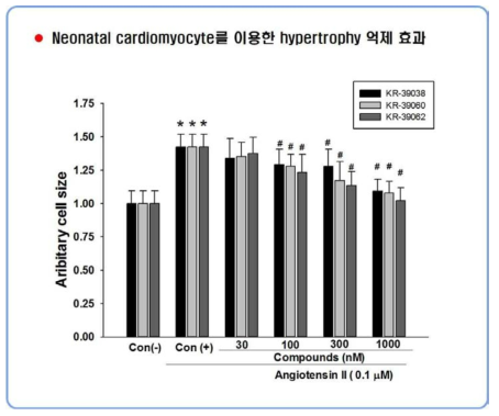 Neonatal cardiomyocyte에서 KR-39038, KR-39060, KR-39062의 세포비대 억제 효능