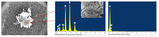 시료 전처리 후 잔여물에 대한 SEM-EDS 분석결과 (왼쪽) 저배율 SEM 이미지, (가운데) 산처리 후 잔여물에 대한 EDS 스펙트럼 및 고배율 SEM 이미지, (오른쪽) background에 대한 EDS 스펙트럼