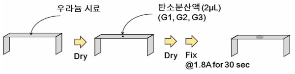 이온화필라멘트 탄소화 과정