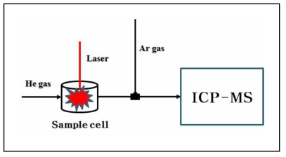 레이저 용발 시스템과 MC-ICP-MS의 운반가스연결 개요도
