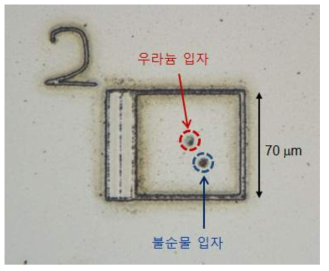 LMD를 이용한 입자 층의 절단