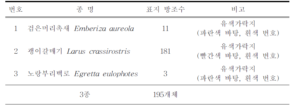 2019년 유색가락지 표지 종 및 개체수