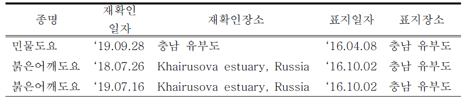 국내·외에서 재관찰된 국내 부착 도요새류 컬러플랙