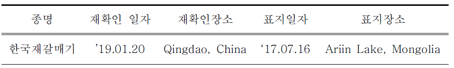 국외에서 재관찰된 국내 부착 한국재갈매기 유색가락지