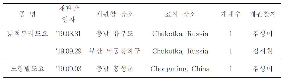 국내에서 재관찰된 국외 부착 도요새류 색조합 컬러플랙