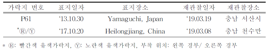 국내에서 재관찰된 국외 부착 흑두루미 유색가락지