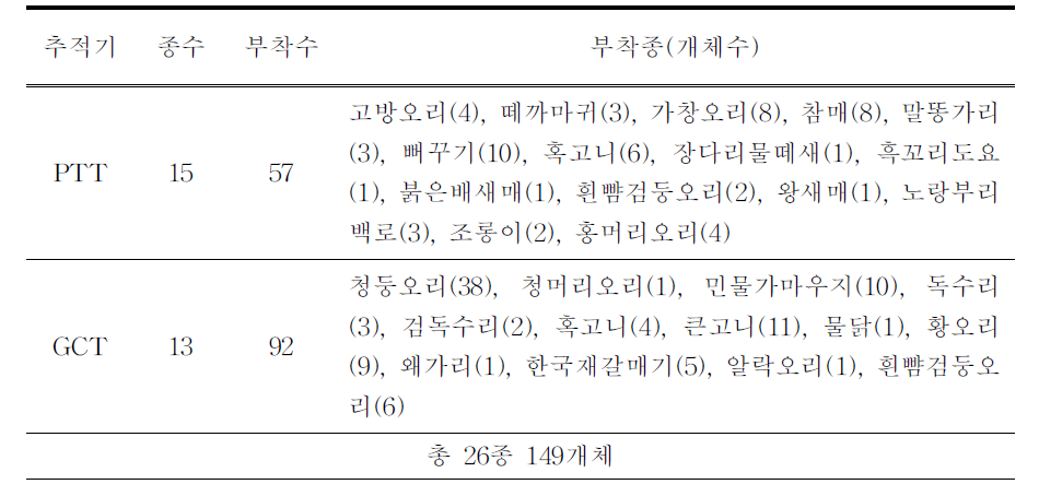 2019년도에 위치추적기를 부착한 조류 종 및 개체수