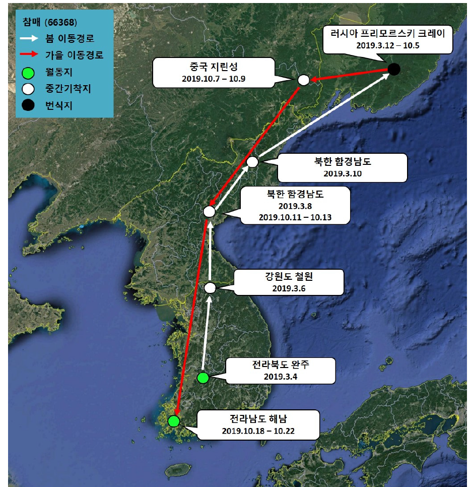 참매(ID 66368)의 이동경로(‘19.2.27 - ’19.10.22)