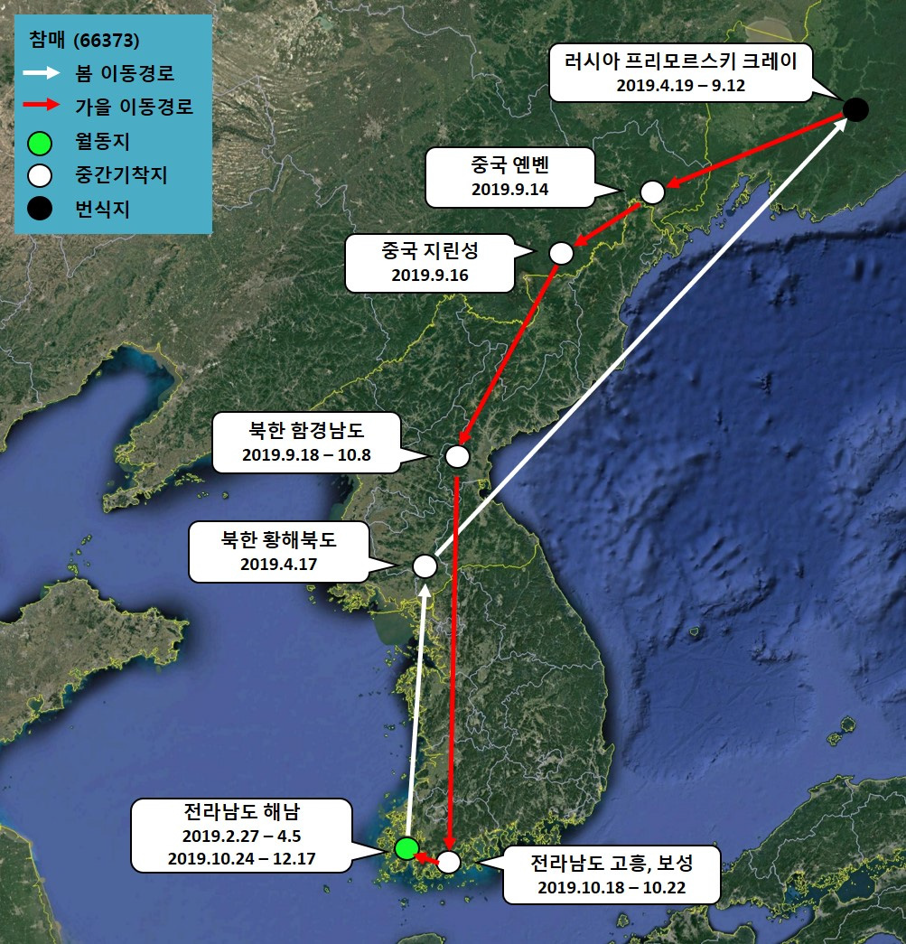 참매(ID 66373)의 이동경로(‘19.2.27 - ’19.12.17)