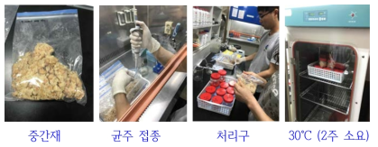 Application of strains screened in this study to commercial Doenjang