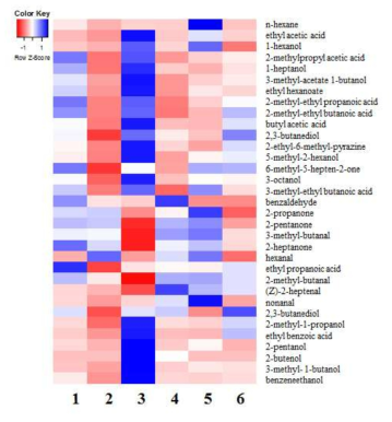 Volatile compounds of commercial model Doenjang