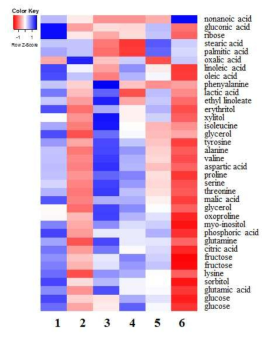 non volatile compounds of commercial model Doenjang