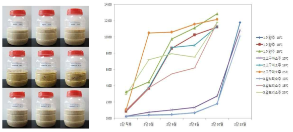 온도(10, 18, 25℃)에 따른 소주 술덧 3종(이양주소주, 고구마소주, 겉보리소주) 발효 모습 및 알코올 함량 변화