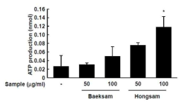 백삼 홍삼추출물에 의한 ATP 생성능 확인