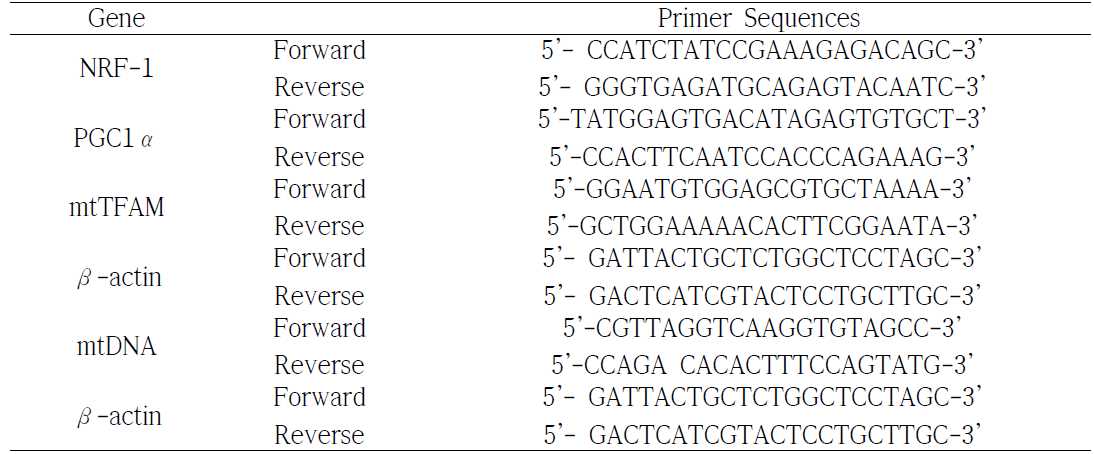 Primer sequences