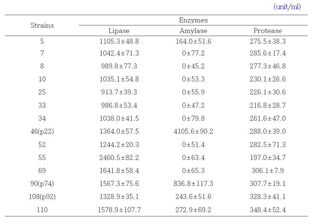 Enzyme activities of bacterial strains