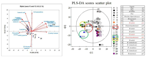 PCA correlated with volatile compounds of medium and strains