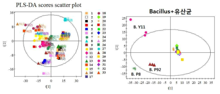 PCA with results of LC/MS analysis for Doenjang and Ganjang prepared with lab scale