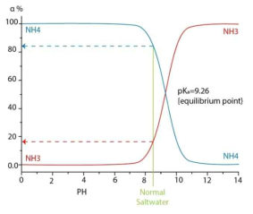 pH에 따른 암모니아와 암모늄 이온의 상 변화