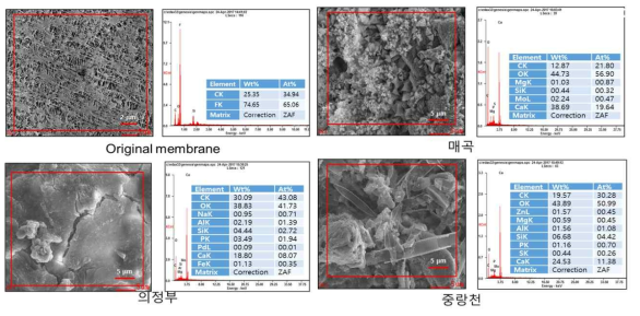 다양한 수원별 장기운전에 따른 표면분석 이미지(측정장비:FE-SEM-EDS, S-4200. Hitachi, Japan)