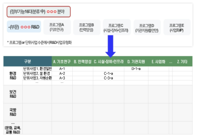 R&D부문의 사업유형별 프로그램 예산제도 적용(안)