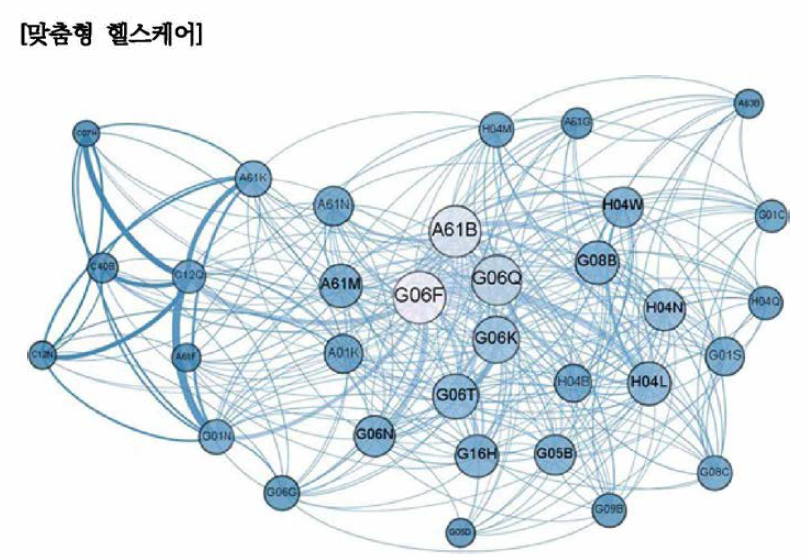 맞춤형 헬스케어 분야 주요 기술 네트워크