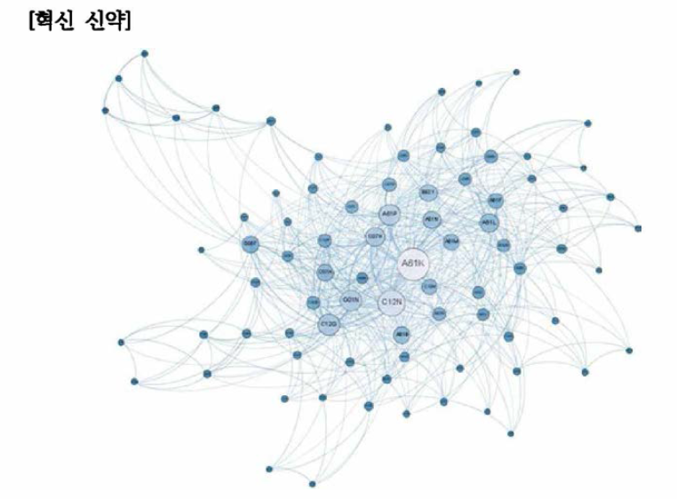 혁신 신약 분야 주요 기술 네트워크