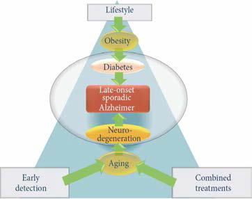 후발성(65세 이후 발병), 산발성 알츠하이머의 향후 치료 전략(출처: Jaume et al., 2016)