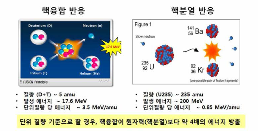 핵융합 및 핵분열 반응