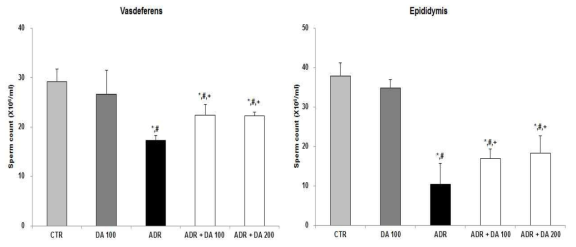 Adriamycin 투여후 MOTILIPERM 섭취에 따른 정자 수 변화