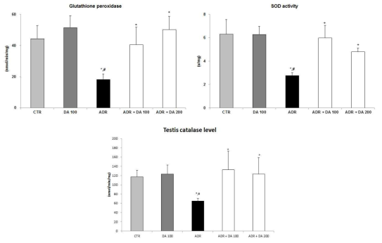 Adriamycin 투여후 MOTILIPERM 섭취에 따른 고환에서의 항산화활성 측정