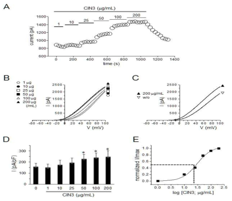CINthera-3 농도에 따른 Hv1 이온통로 활성효과