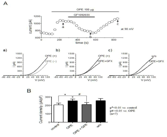 PKC 억제제 GF109203X가 CINthera-3에 의한 Hv1 이온통로 활성효과에 미치는 영향