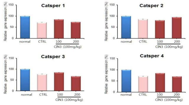 CINthera-3이 정계 정맥류 백서모델의 고환조직에서 CatSper 이온통로의 발현에 발현에 미치는 영향