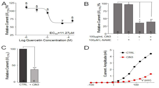 Quercetin이 hSlo3 전류에 미치는 영향 작용기전 A: Dose-response curve of Quercetin on hSlo3 outward current. B: L-NAME, C: direct inhibitor D: Calmidazoliun inhibitor