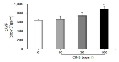 CINthera-3이 사람 정자의 cAMP 신호전달 미치는 영향 확인