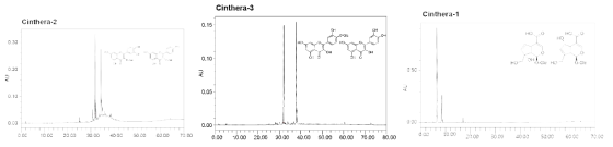 CINthera-1, 2, 3의 지표성분 고농충 분획물 제조시 HPLC chromatograms