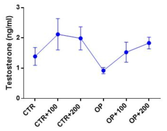 정계 정맥류 동물모델에서 CINThera-2 섭취 후 testosterone 수치 변화