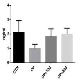 정계 정맥류 동물모델에서 CINThera-3 섭취 후 testosterone 수치 변화