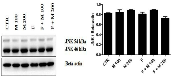 Finasteride 단기 투여후 MOTILIPERM 섭취에 따른 고환에서의 JNK protein 발현 변화