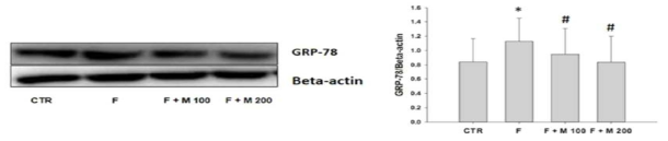 Finasteride 장기 투여후 MOTILIPERM 섭취에 따른 고환에서의 GRP-78 protein 발현 변화