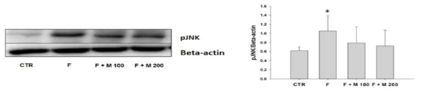 Finasteride 장기 투여후 MOTILIPERM 섭취에 따른 고환에서의 pJNK protein 발현 변화