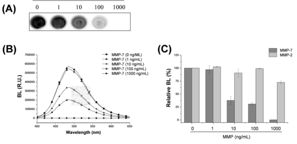 Assay of MMP-7 activity using the R luc8–m7–Bio probe onto the NA-coated surface. BL images (A) and BL spectra (B) of the probe were obtained as a function of active MMP-7 concentration (0-1,000 ng/mL). (C) Bar graph represents relative BL intensity in response to MMP-7 (dark gray) and MMP-2 (light gray) enzymes over the same range of MMP concentration