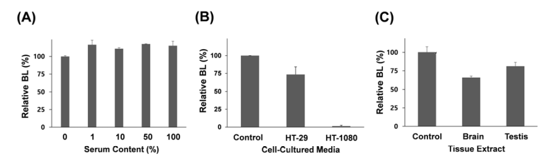 Assay of MMP-7 activity in biological samples using the Rluc8–m7–Bio probe onto the NA-coated surface. (A) Changes in BL intensity as the serum content in cultured media increases. Relative BL signals in the cultured media of cancer cells (HT-29 and HT-1080) (B) and mouse tissue extracts (brain and testis) (C). Bar graphs represent relative BL intensity in response to MMP-7 activity at the same total protein concentration (50 μg mL-1)