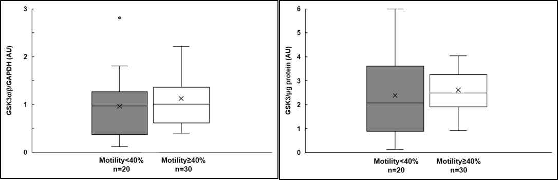 Correlation of relative amount of GSK3 with human sperm motility