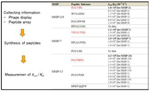 MMP활성분석을 위한 MMP 특이적 기질 펩타이드의 분석결과