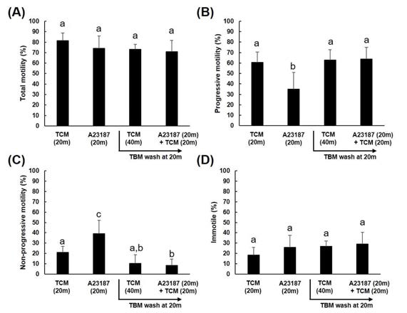 Effect of TBM washing on mouse sperm motility recovery after treatment of A23187 (1 μM) in TCM