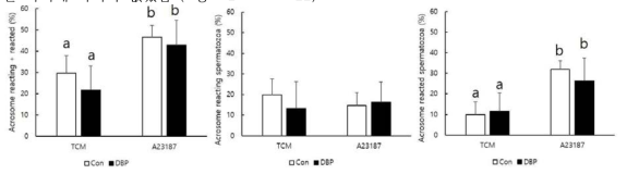 Effect of DBP oral injection (200 mg/kg·day) on acrosome reaction of sperm